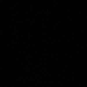 Meet your Posher, Bibi